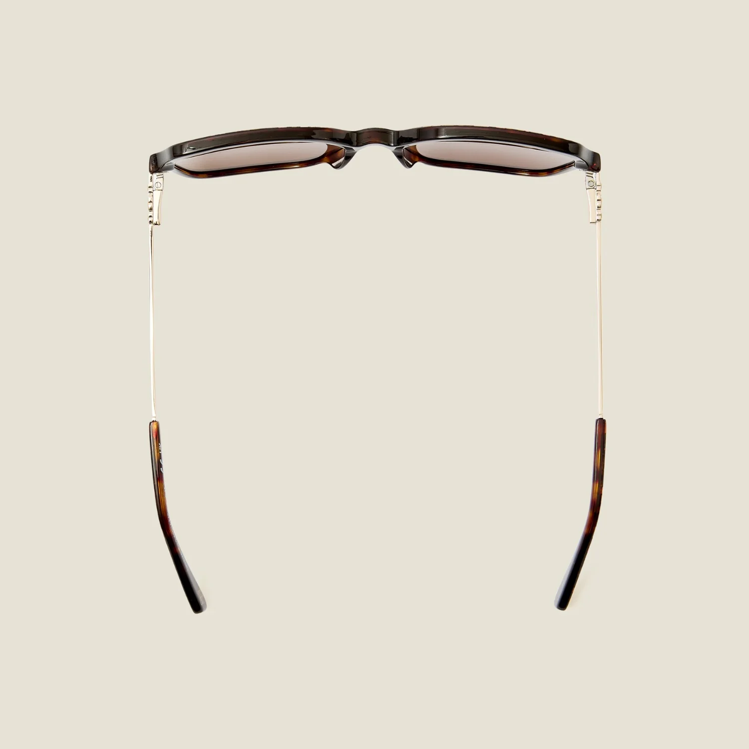 Camellia Sunglasses - Full Bloom Persimmon - Image 4