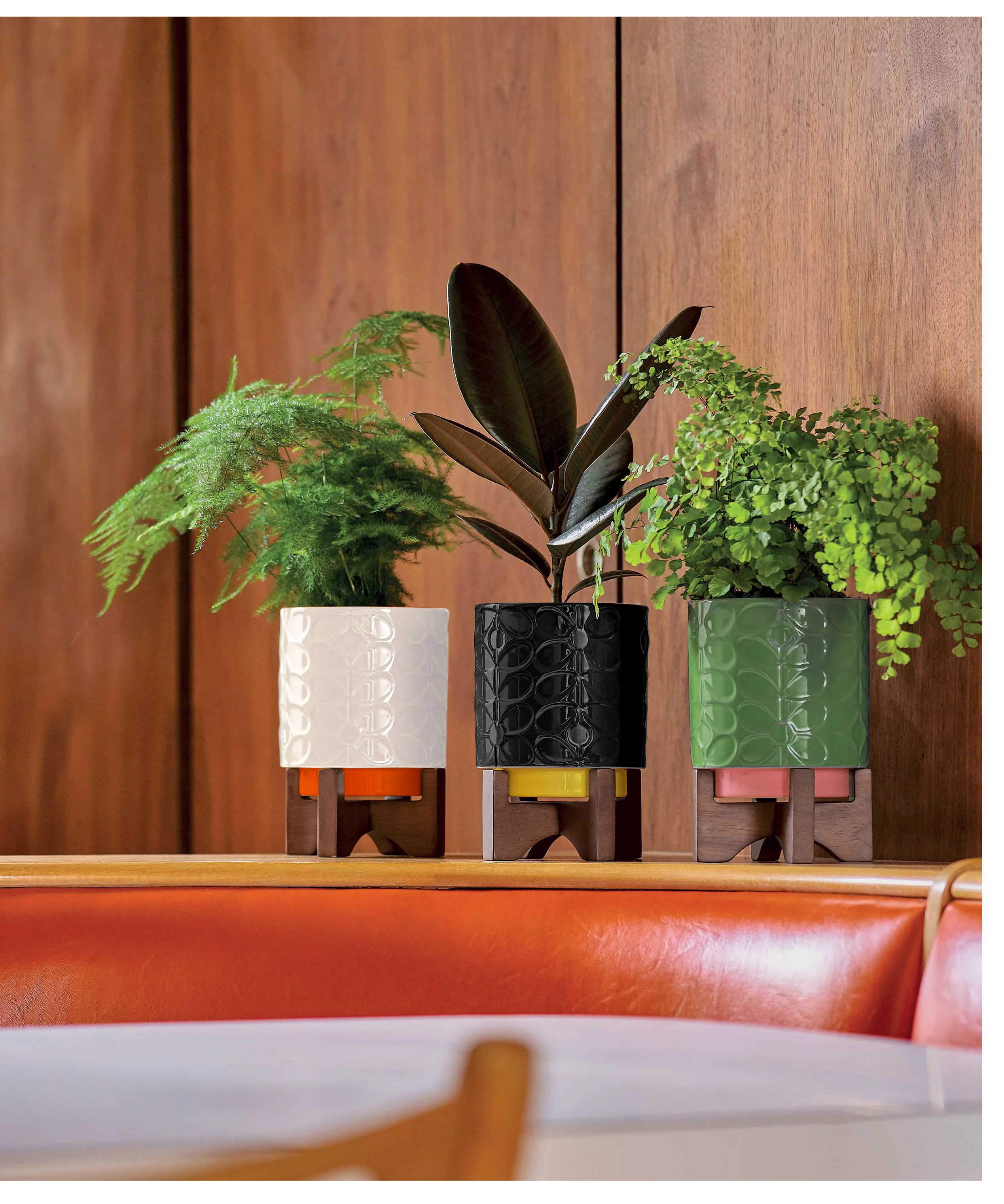 Debossed Plant Pot on Wooden Stand - Fern