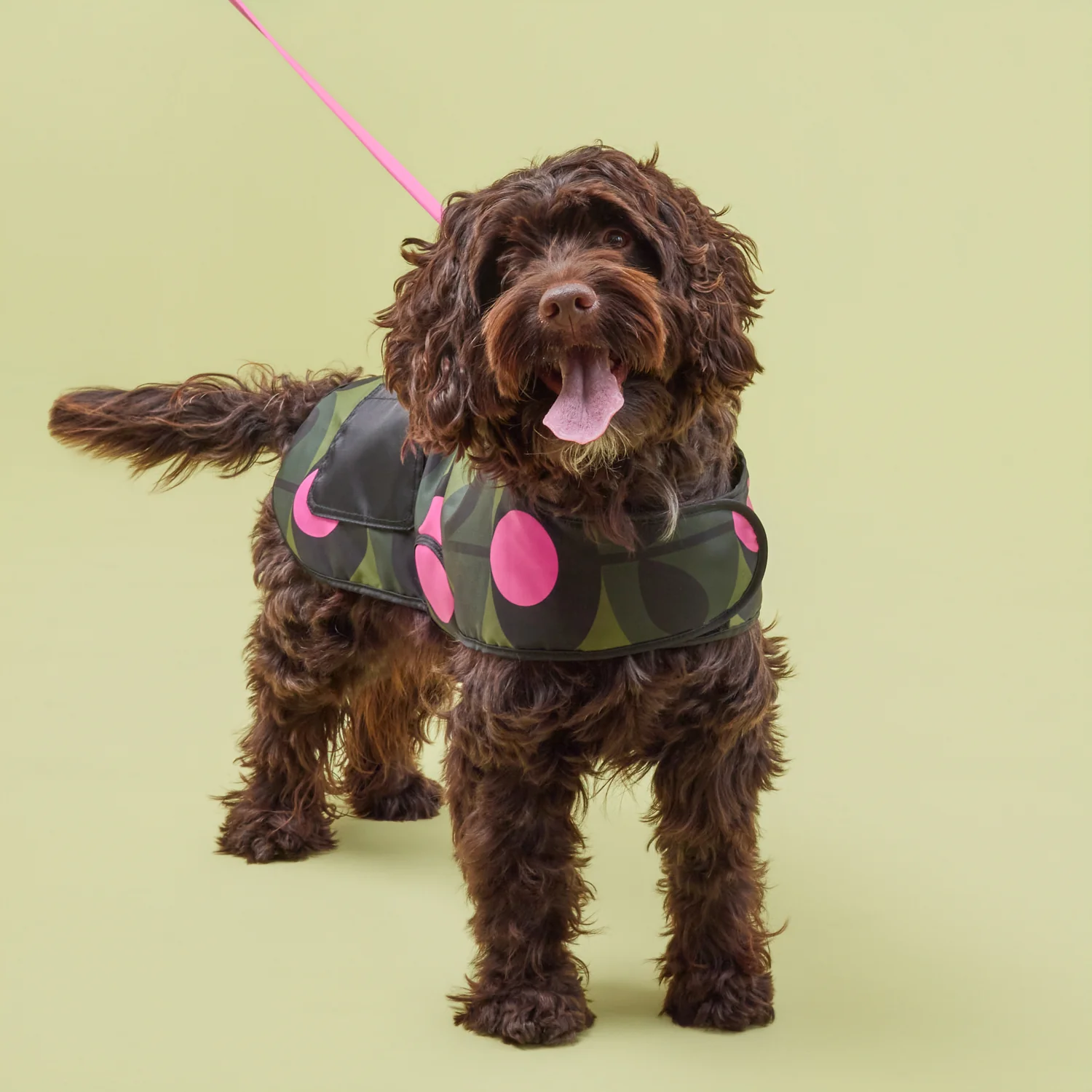 Dog Coat - Oval Stem Forest - Image 7